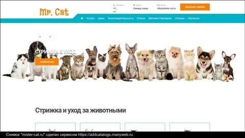 Cat php deal type 1