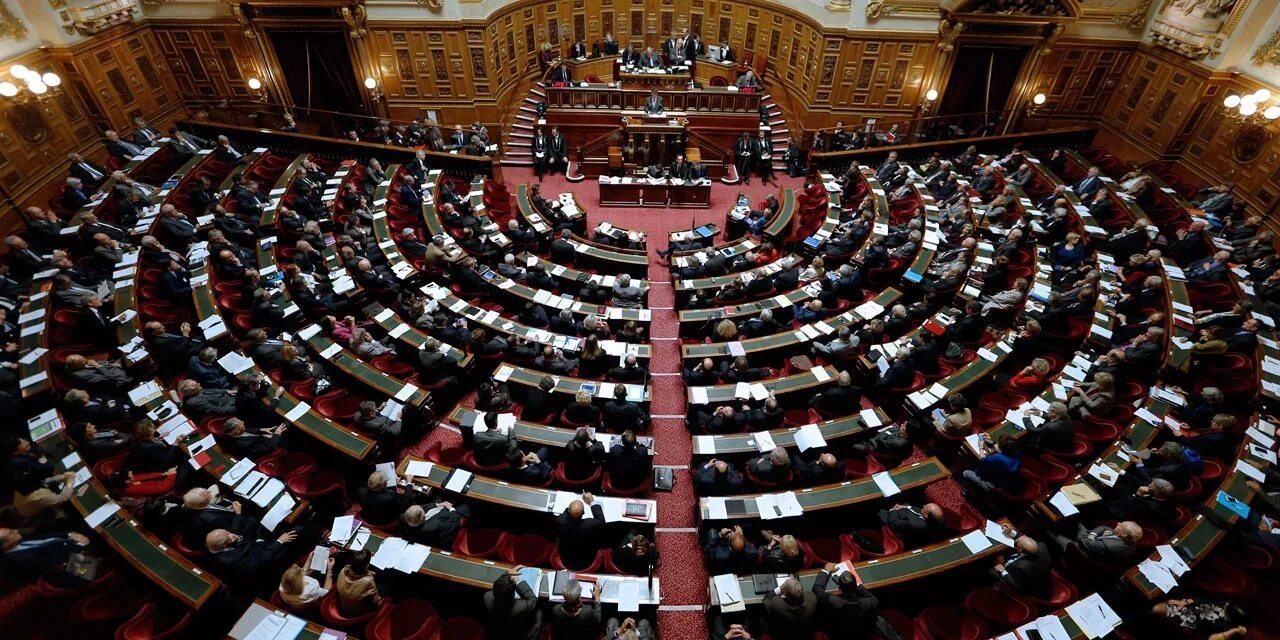 Деятель в парламенте