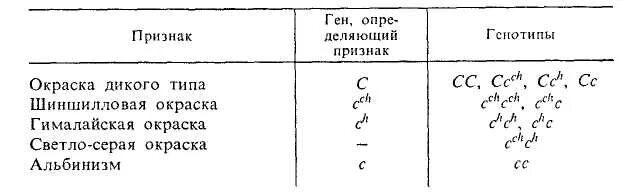 Генотипы, определяющие окраску кроликов гималайских. У кролика аллели дикой окраски с гималайской окраски. У кроликов аллели дикой окраски гималайской альбинизм. У кроликов аллели дикой окраски с гималайской окраски с и альбинизма.