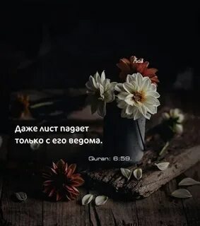 Даже лист падает с его ведома аят