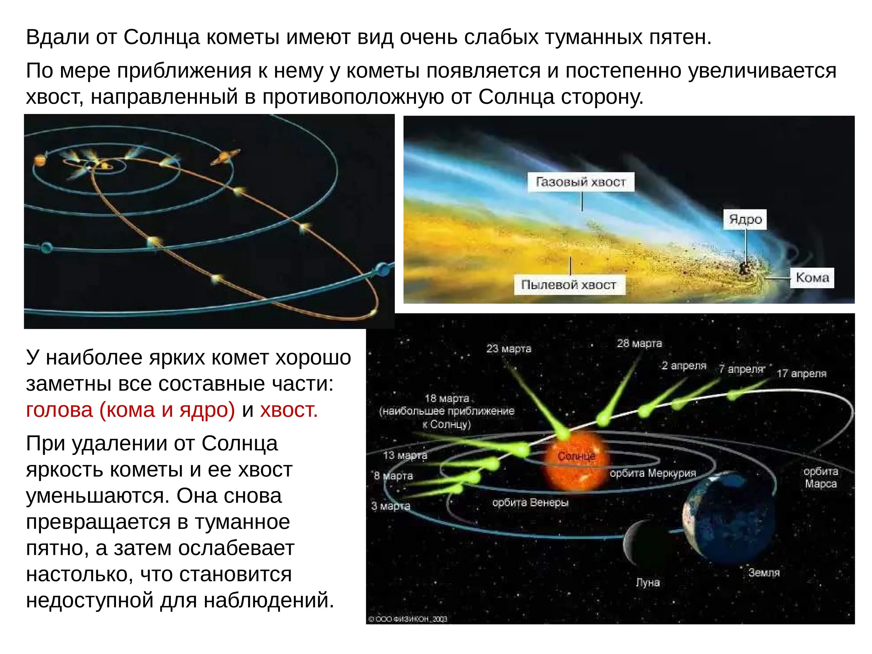 Противоположная сторона солнца. Виды комет. Виды комет солнечной системы. Расположение комет в солнечной системе. Комета от солнца.