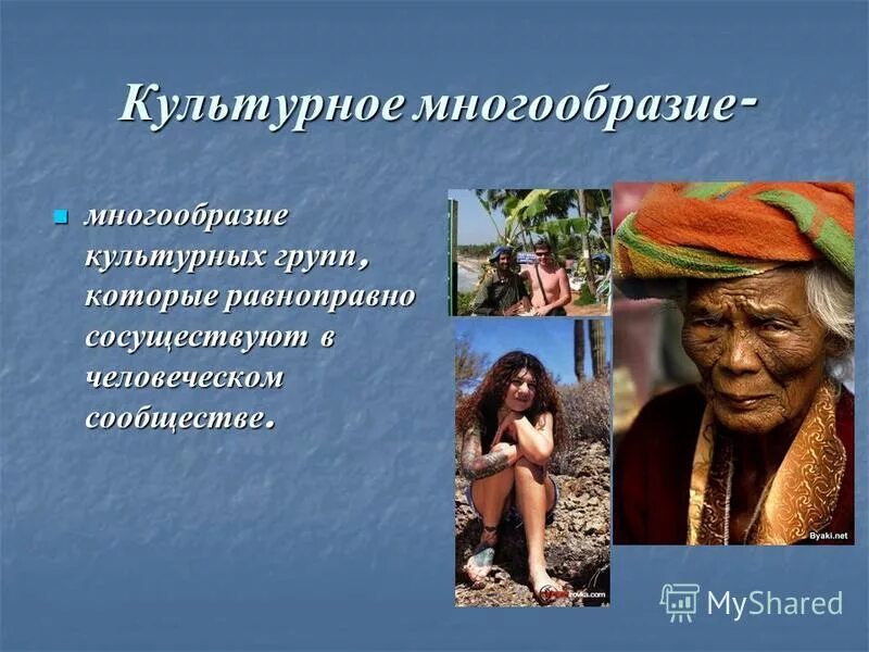 Система поликультурного образования. Проблема многообразия культур. Языковое многообразие народов россии. Сохранение культурного разнообразия. Проблема многообразия культур.