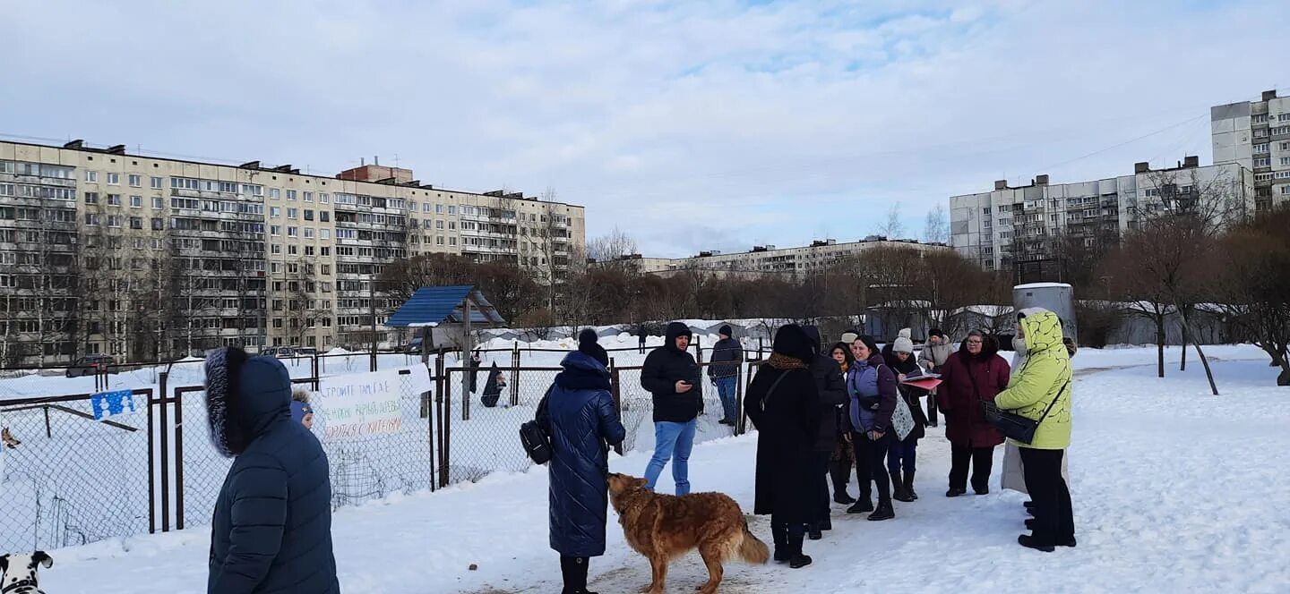 Отзыв о Сад Ивана Фомина (Россия, Санкт-Петербург) Сад, который отвоевали жители