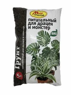 Почва для драцены