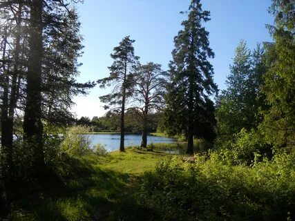 Санатории каменная гора бабаево