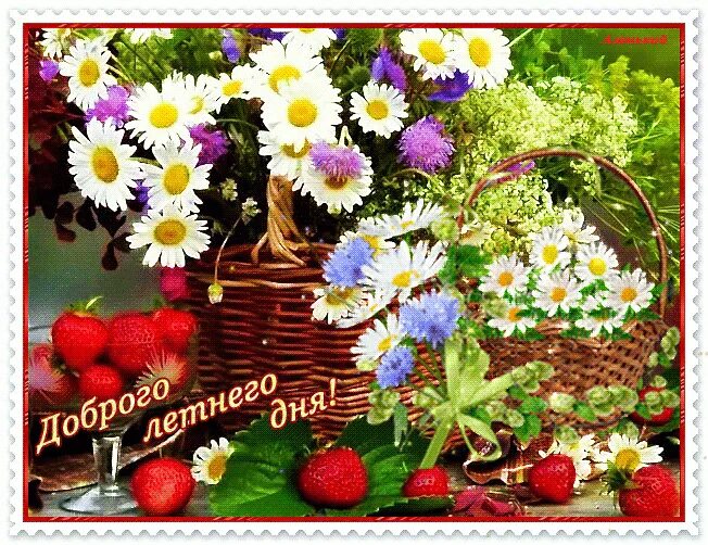 Самого доброго летнего дня картинки. Доброго летнего дня. открытки хорошего летнего дня. летнего настроения и хорошего дня. открытки летнего настроения.