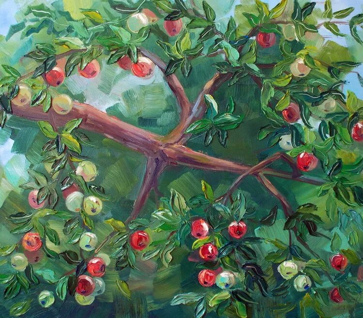 Яблони огэ. Яблоня ветка Базанова. Серебрякова яблоня. Молодильные яблочки дерево.