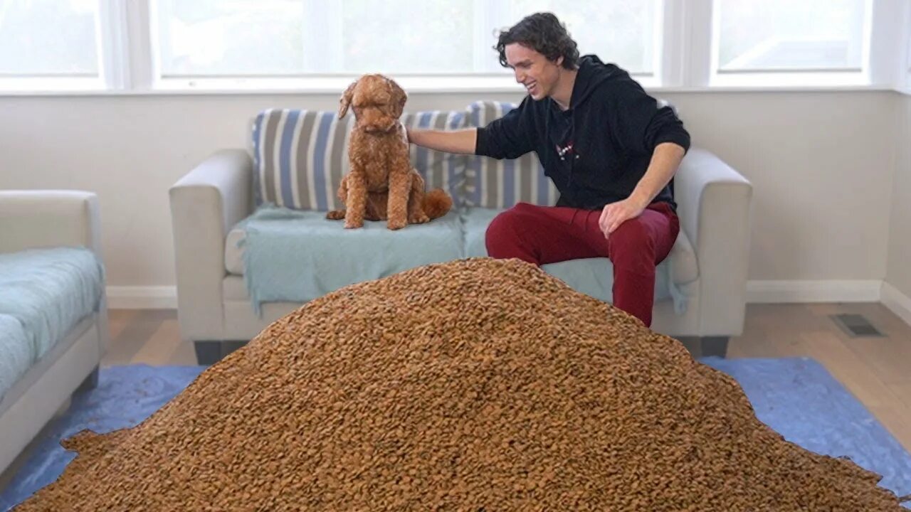 000. Цифра 0 01. 1 000 000 000 dogs. 1. 1 миллион рублей надпись.