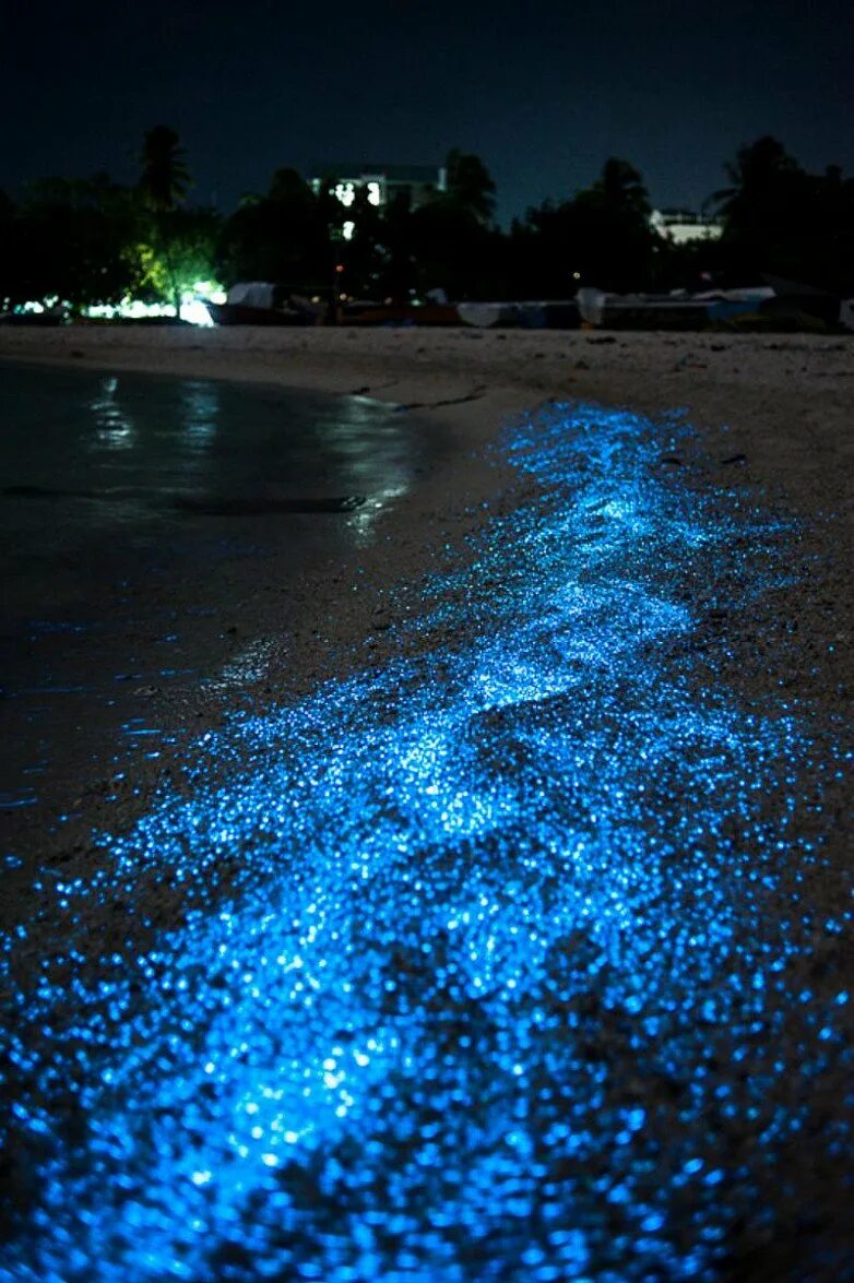 Пляж ваадху мальдивы. Светящиеся мальдивы. Пляж ваадху мальдивы. Светящиеся мальдивы. Пляжи острова ваадху, мальдивы.