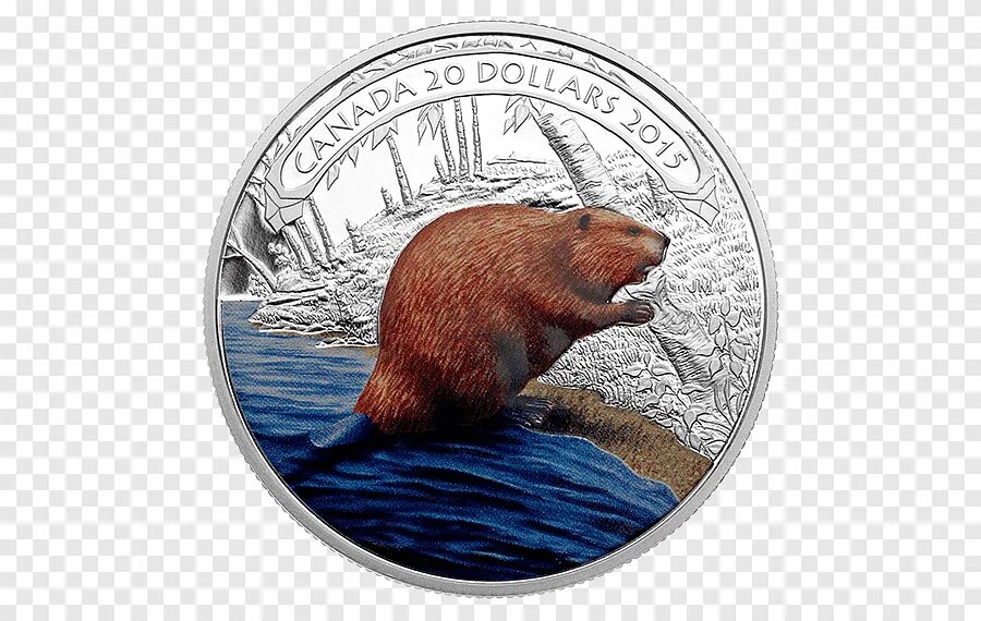 Бобры банк. Монета с бобром. Бобр на монете. Канадские монеты с бобрами. Монеты с изображением бобра.