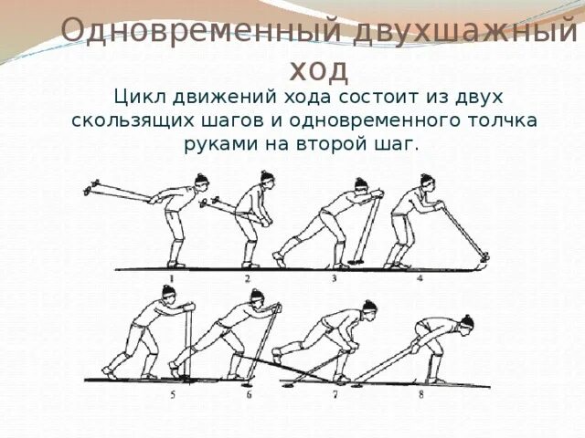 Цикл хода состоит