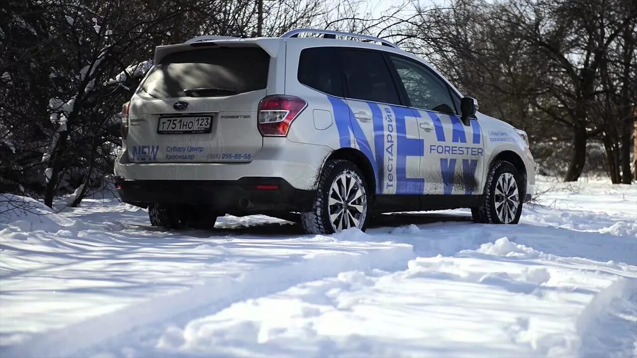 Форестер тест драйвы. Subaru Forester 2015. Субару Форестер 2015. Субару тест драйв. Субару Форестер 2015 Рестайлинг.