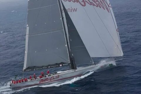 Wild sail