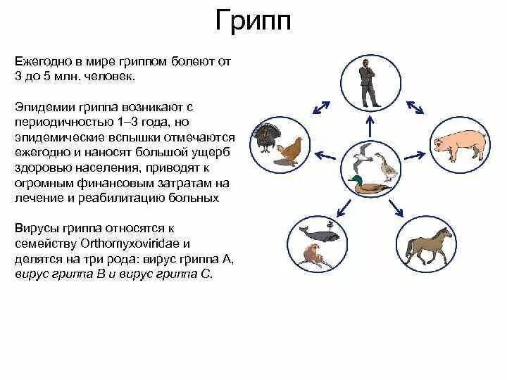 Гриппа умирает в год. Смерти от гриппа в год.