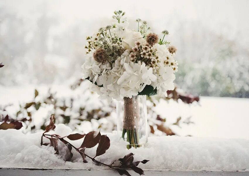 Flowers winter music
