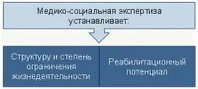 Экспертизой установлено