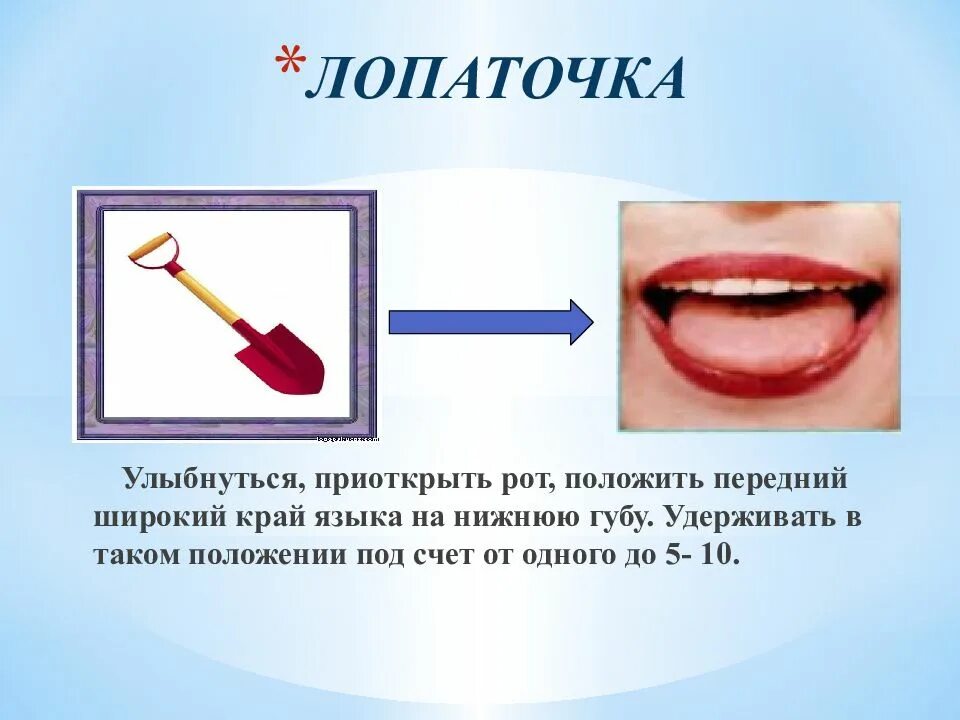 Упражнение лопаточка артикуляционная гимнастика. Лопаточка упражнение для языка. Упражнение лопатка артикуляционная гимнастика. Артикуляционная гимнастика для детей лопата.