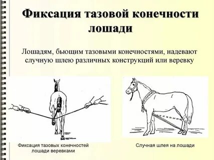 Фиксация намерения