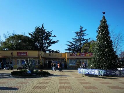 Погода новый адлер
