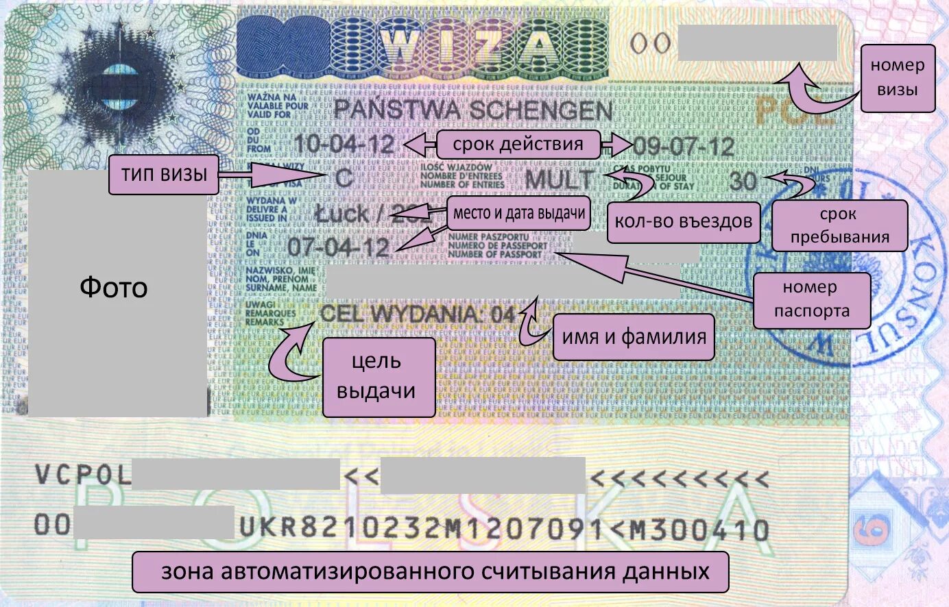 90 дней пребывания в год. Номер визы шенген. Номер и Дата выдачи визы. Шенгенской визе. Расшифровка шенгенской визы.