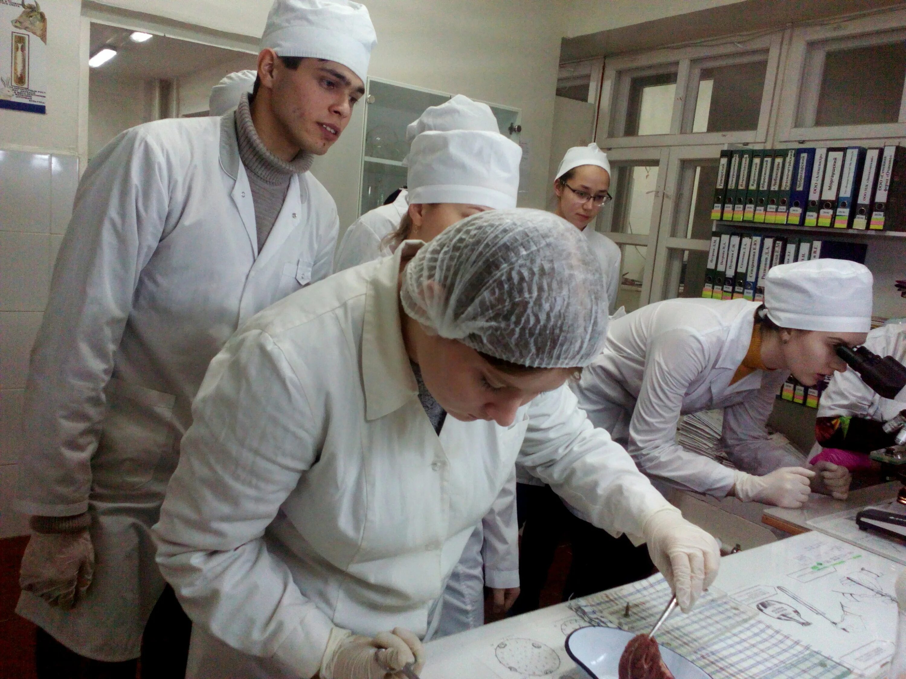 ветеринария лаборатория. центр ветеринарных экспертиз. ветеринарно санитарная оценка молока. центр ветеринарных экспертиз. ветеринарно-санитарная экспертиза молока.