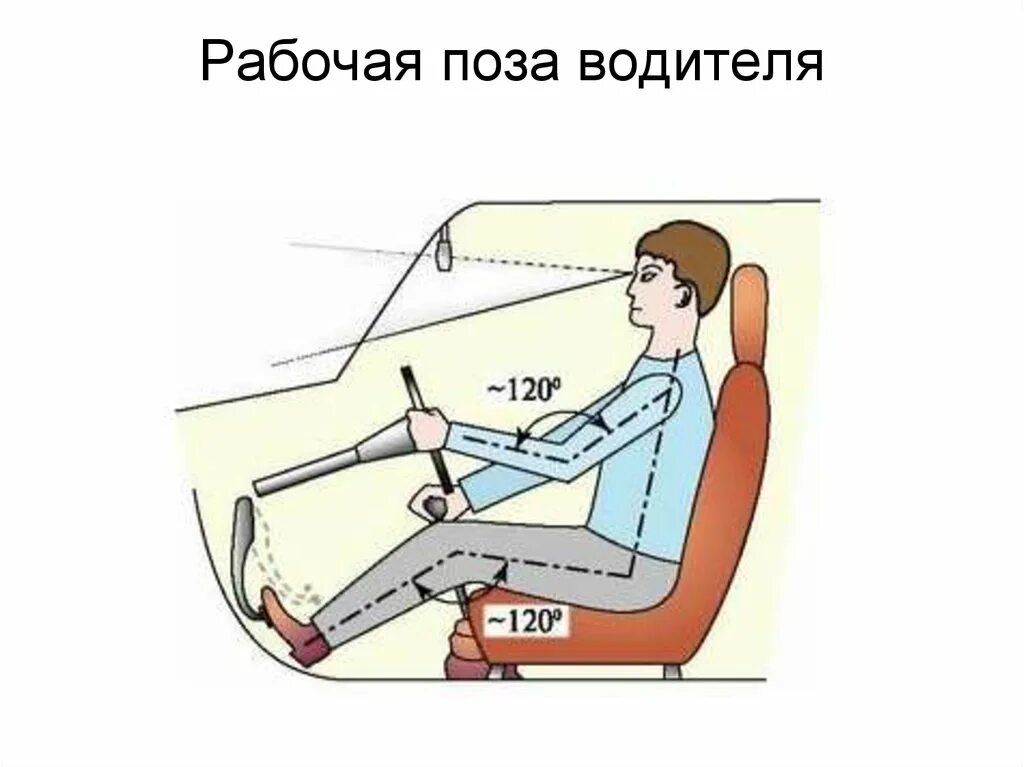 Положение водителей. Рабочая поза водителя. правильная рабочая поза водителя. правильное положение кресла водителя. правильная поза водителя за рулём.