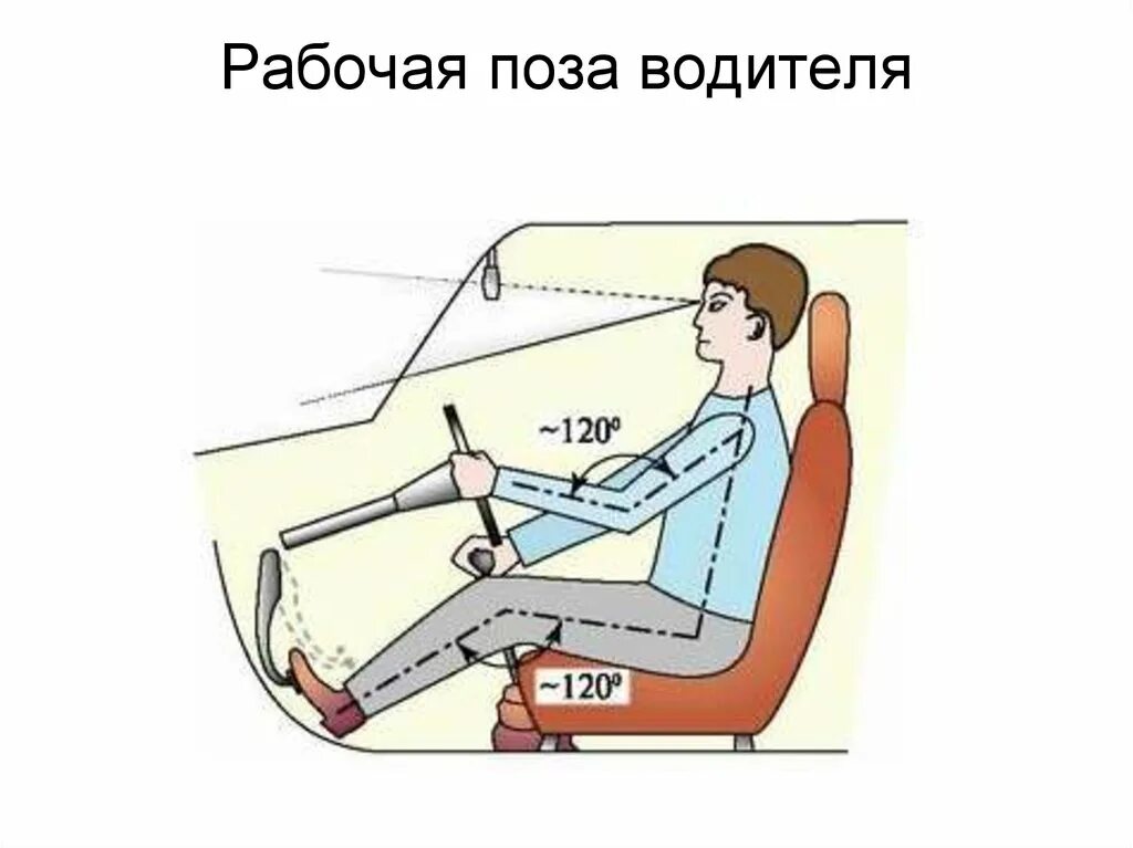 Посмотрим как сидеть будем. Правильная поза водителя за рулём автомобиля. Как правильно отрегулировать сиденье водителя в автомобиле. Эргономика кресла водителя чертеж. Рабочая поза водителя.