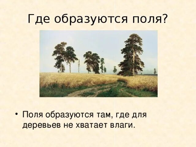 Откуда появились деревья. Откуда появляются дер. Где формируется поля. Как появляется дерево.