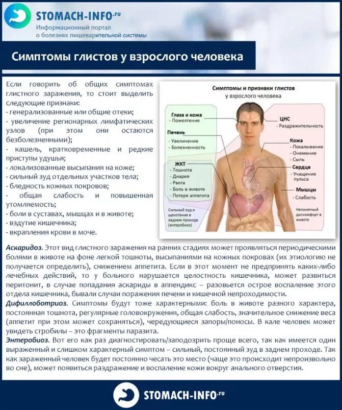 Спазм кишечника симптомы и лечение. Симптомы глистов у человека. глисты у взрослого человека симптомы. симптомы при глистах у взрослого человека.
