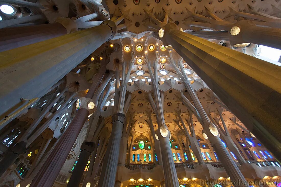 саграда отзывы. собор в барселоне саграда. гауди собор саграда. храм саграда фамилия ph071/2. саграда фамилия проект 2026.