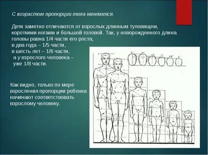 Изменение размеров тела его пропорций телосложения