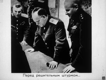 Союз жуковых