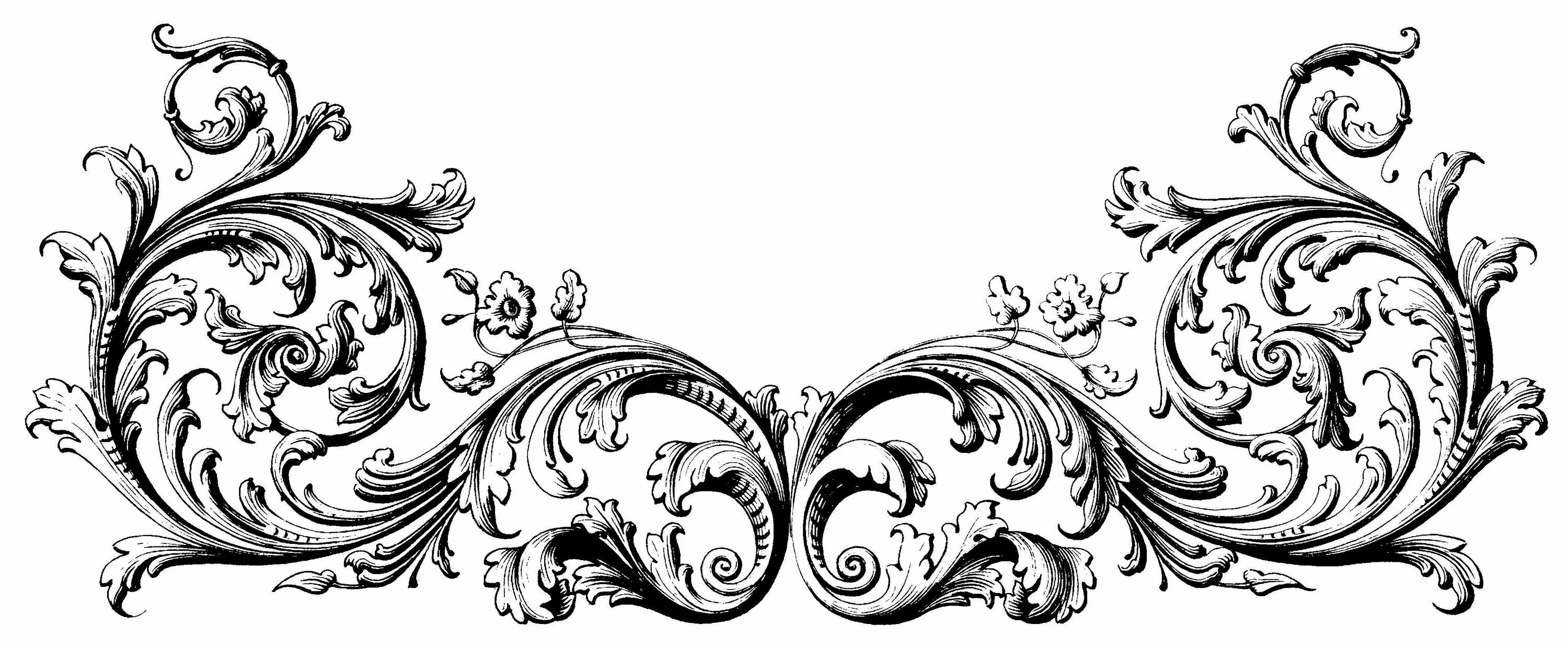 Орнамент бар. Рокайль рококо. Орнамент в стиле барокко. Орнамент рококо рокайль. Гротеск барокко орнамент.