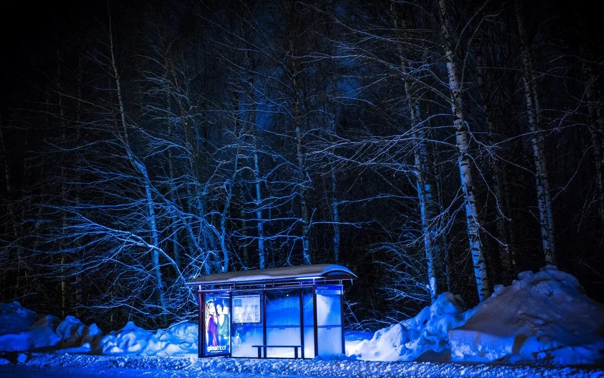 Остановка синий. Остановка в лесу. Остановка зимой ночью. Автобусная остановка зимой. Автобусная остановка в лесу.