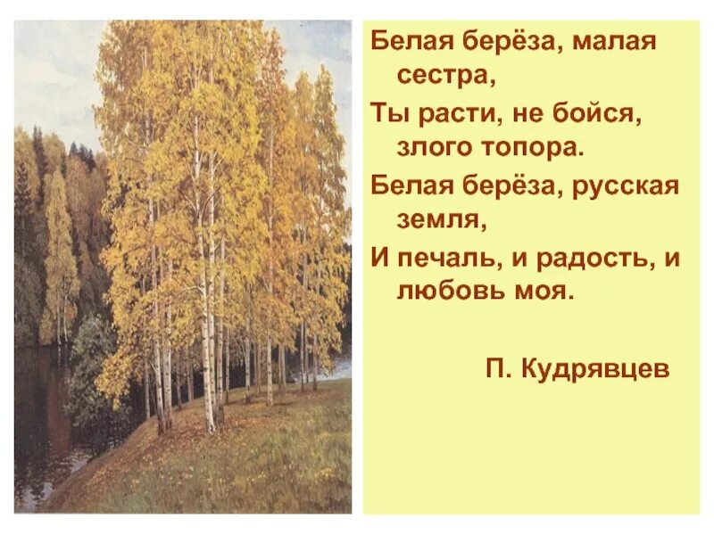 Белая береза. Малая берёза. Белая береза ты любовь моя. Белая береза слова.