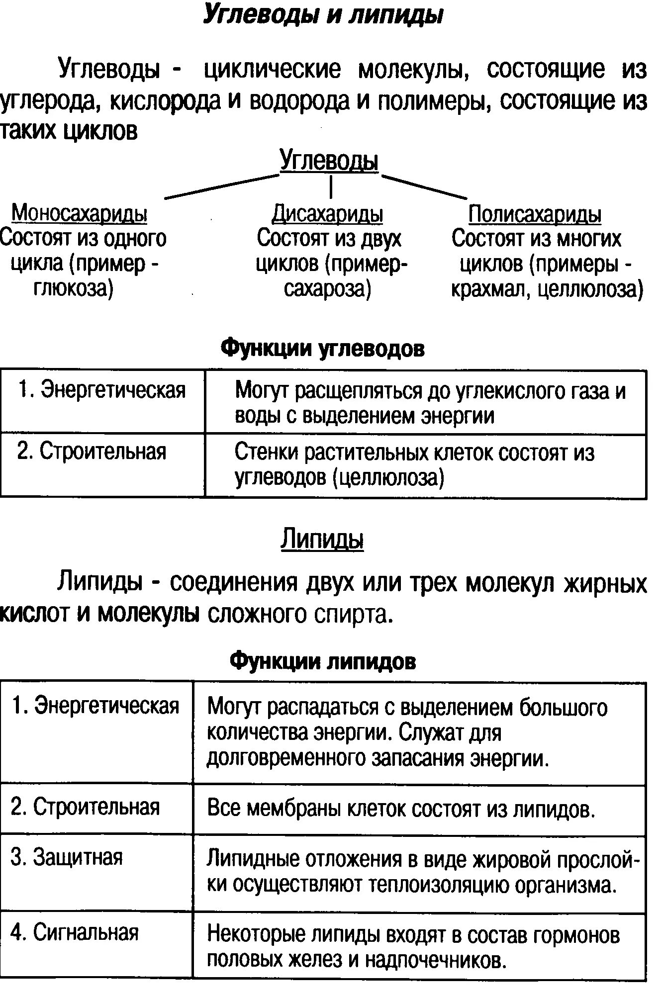 Углеводы липиды строение. Строение, классификация и функции углеводов и липидов. Функции белков липидов и углеводов таблица. Углеводы и липиды. Состав, строение, функции. Биология. Строение и функции белков липидов и углеводов таблица.