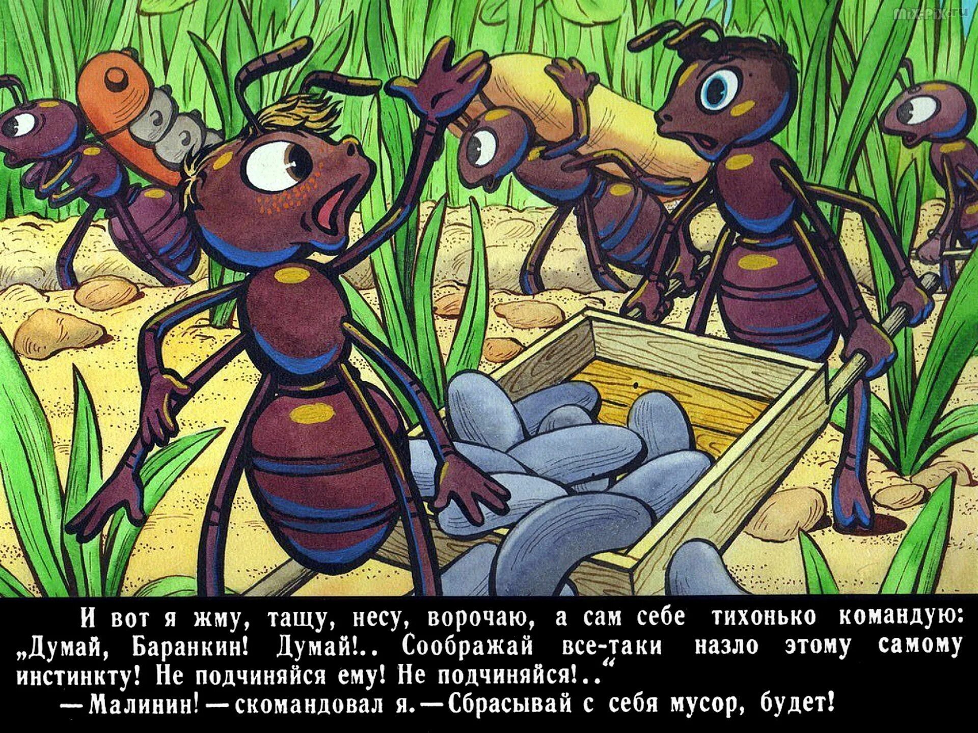 Повесть будь человеком. Баранкин муравей. Баранкин будь человеком иллюстрации Баранкин муравей. Баранкин будь человеком мультфильм. Баранкин будь человеком муравьи.