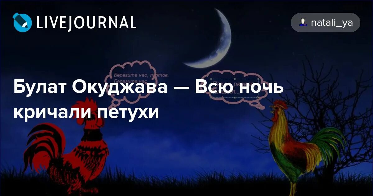 Птица жалобно кричащая ночью. Всю ночь кричали петухи. Всю ночь кричали петухи Окуджава. Стих всю ночь кричали петухи. Стихотворение Окуджавы всю ночь кричали петухи.