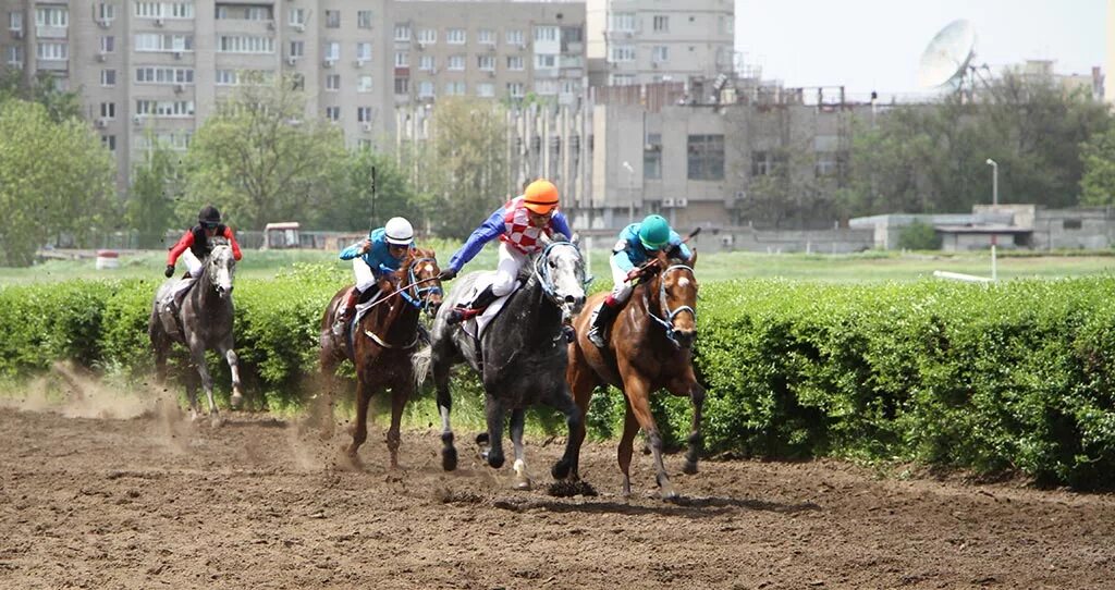 Ростовский скаковой ипподром. Скачки ипподром ростов. Ипподром ростов. Ростовский ипподром. Скачки ростов.
