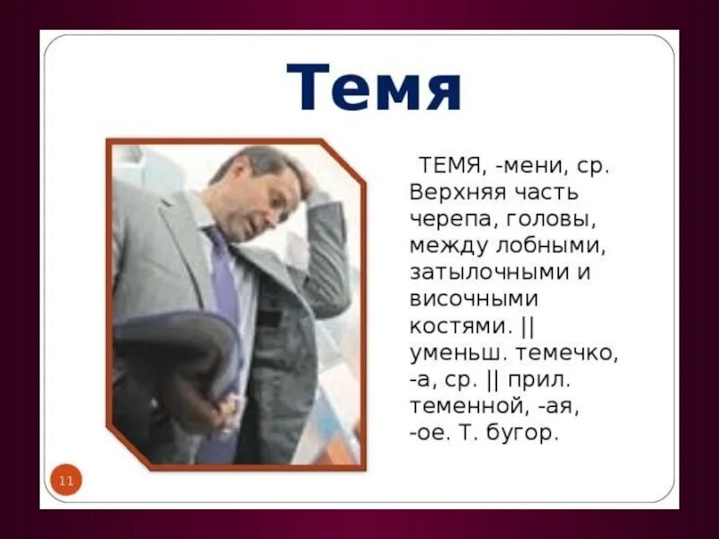 Темя. Темя у человека. Что значит слово темя. Темя часть тела. Значение темени