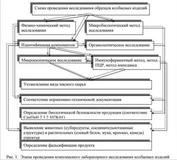 Схема проведения исследования