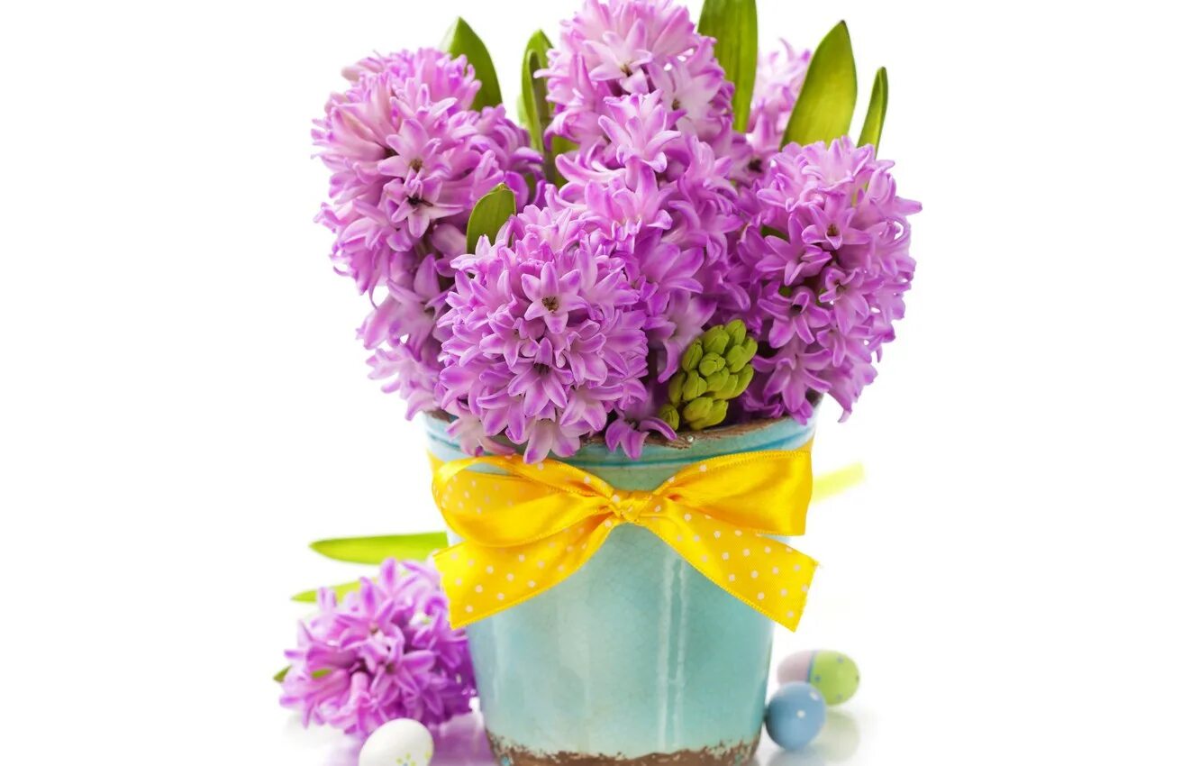 Весенние цветы гиацинты. Гиацинты цветы букет. Весенний букет с гиацинтами. Весенний букет фон