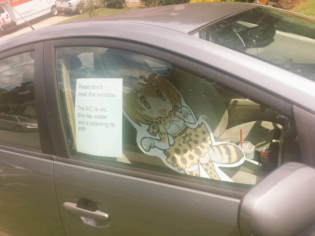 Won t break. To break the window. please don&#039;t break the window. please dont break the window he has water. please don&#039;t break the window the ac is.