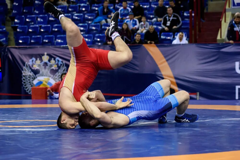 Дагестанец борец вольного стиля 2000. Чр по греко римской борьбе 2024. Чр по греко римской борьбе 2024. Федерация греко-римской борьбы. Спорт греко римская борьба.