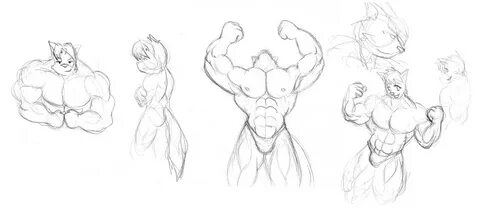 Fury muscle growth