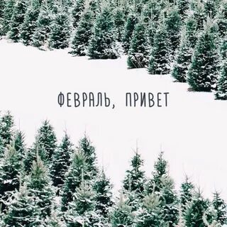 Наступил февраль жду тебя