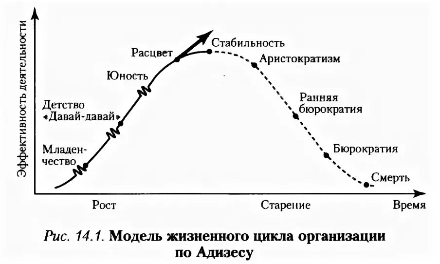 Стадии жизненного цикла компании по Адизесу. Этапы жизненного цикла организации Адизеса. Модель жизненного цикла организации по Адизесу. Стадии жизненного цикла организации Адизес.