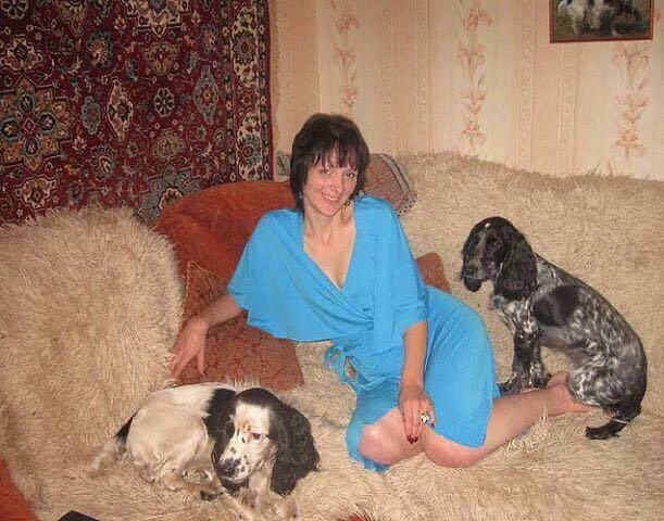 Стрижка щенка ши тцу в 4 месяца. Ирландский сеттер питомник москва. Добросовестный заводчик кошек. Собачка ши тцу. Евразия 2023 выставка собак.
