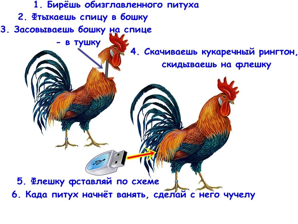 Не успеет трижды пропеть петух. Не успеет трижды пропеть петух. Не успеет трижды пропеть петух. Не успеет трижды пропеть петух. Смешной петух.