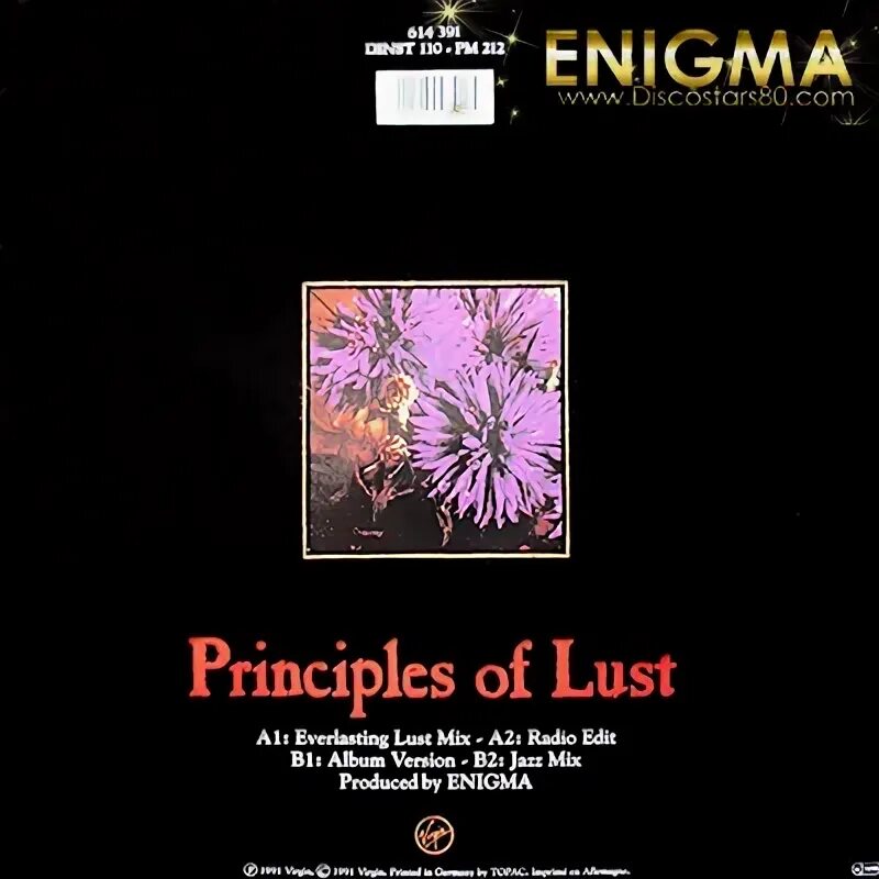Enigma principles of lust. Enigma principles of lust